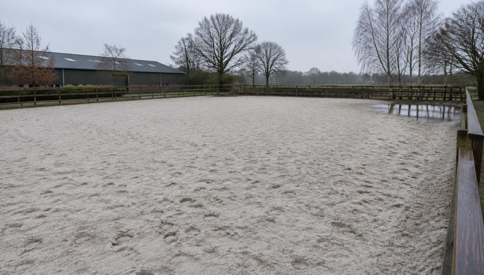 Paardenbak met stilstaand water na regen